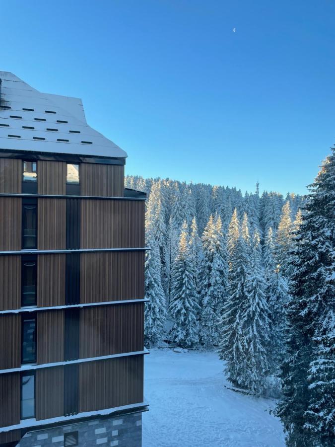 Woodside Apartment 431, Kopaonik - One Separate Bedroom 35M2- Free Parking & Spa Dış mekan fotoğraf