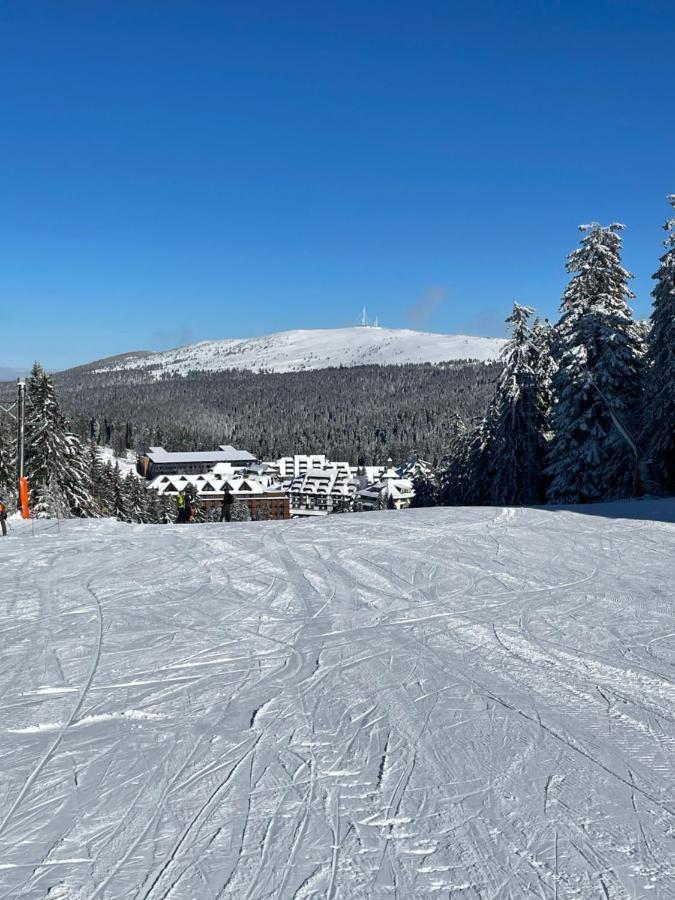 Woodside Apartment 431, Kopaonik - One Separate Bedroom 35M2- Free Parking & Spa Dış mekan fotoğraf